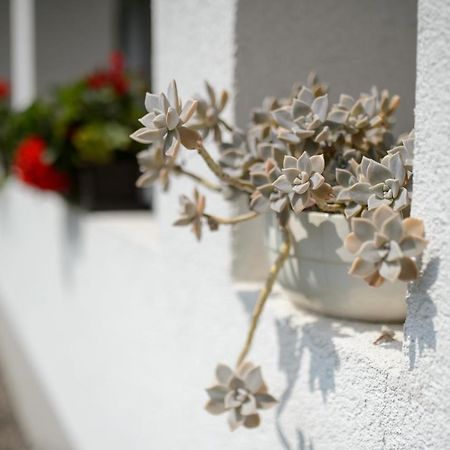 Bakta Haz Hotel Egerbakta Buitenkant foto
